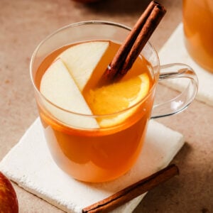 Cup of slow cooker apple cider garnished with a cinnamon stick, apple slices, and orange slices.