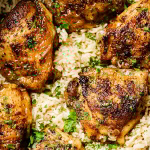 closeup of chicken and rice inside of a slow cooker bowl.